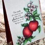 Hand-coloured Apple Greeting Card