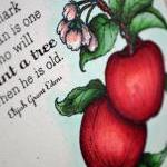 Hand-coloured Apple Greeting Card